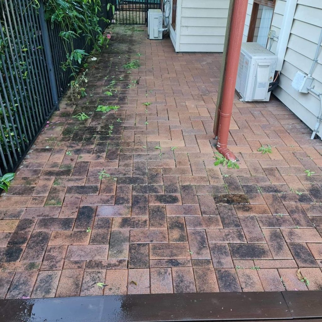 Pressure Washing Patio Algae Mould Removal