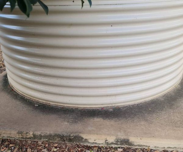 Home water tank inspection before pressure cleaning