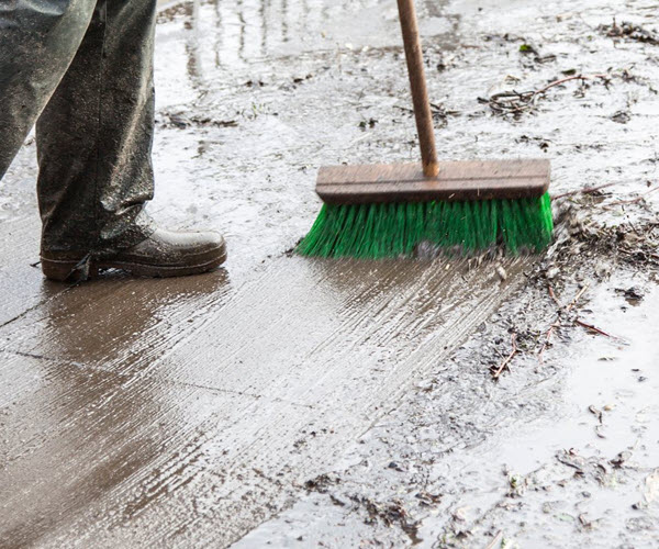 Sanitation Cleaning And Flood Cleanup